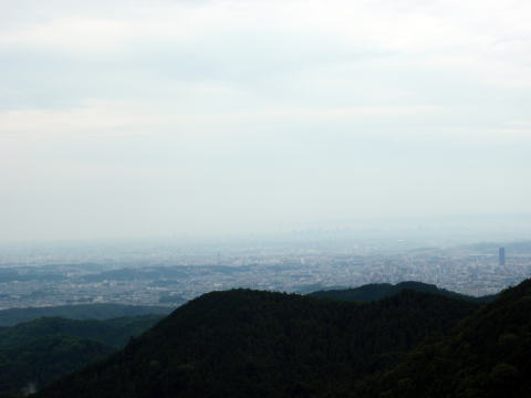 2016.6.5　労山クリーンハイク 北高尾山稜山稜（イベント）