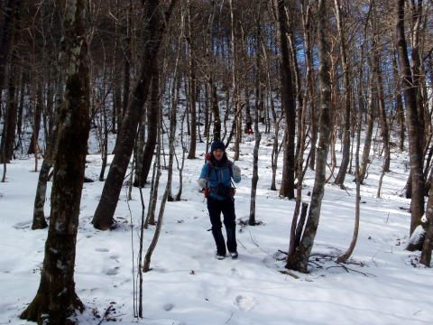 2017.2.25 道志 今倉山(尾根歩き)