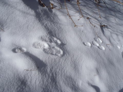 2017.2.25 道志 今倉山(尾根歩き)