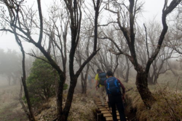 2016.4.23　ヤビツ峠（尾根歩き）