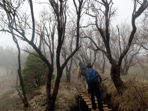 2016.4.23　ヤビツ峠（尾根歩き）