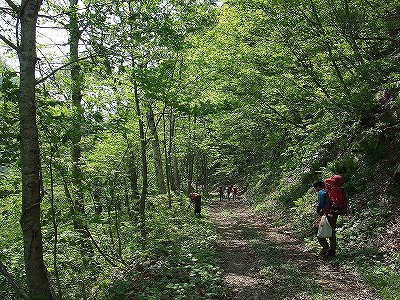 2014.5.24-25　赤湯山菜取り（イベント）