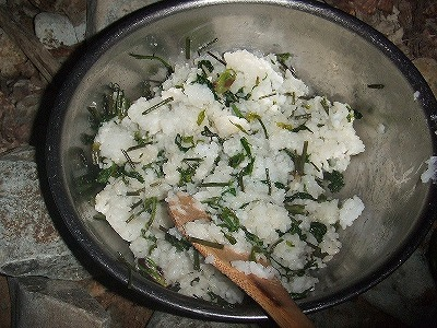 2014.5.24-25　赤湯山菜取り（イベント）