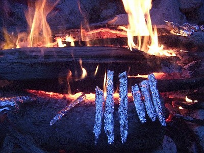 2014.5.24-25　赤湯山菜取り（イベント）