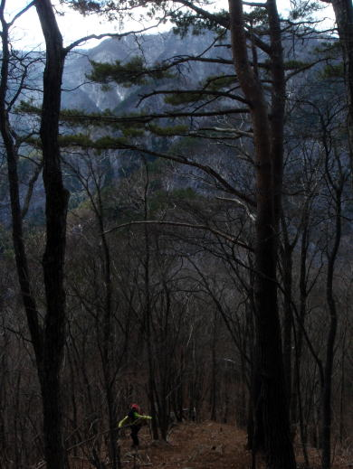 2017.2.25 道志 今倉山(尾根歩き)