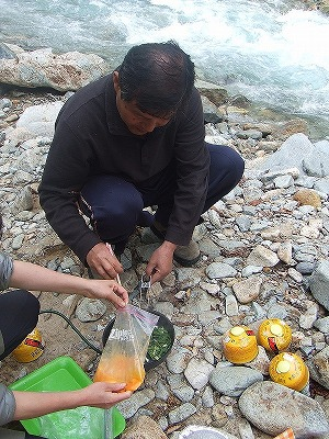 2014.5.24-25　赤湯山菜取り（イベント）