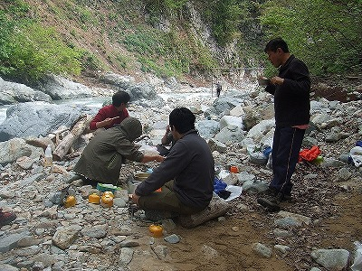 2014.5.24-25　赤湯山菜取り（イベント）