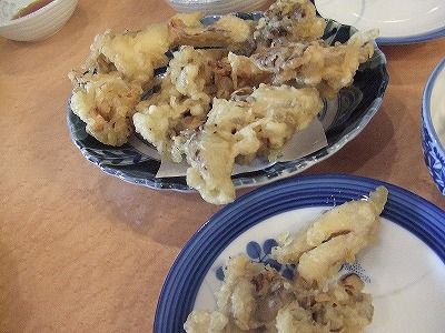 2014.5.24-25　赤湯山菜取り（イベント）