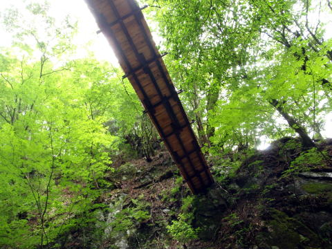 2016.6.25-26　大雲取谷（沢登り）