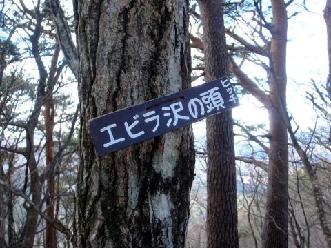 2017.2.25 道志 今倉山(尾根歩き)
