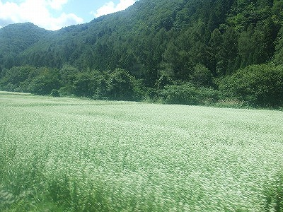 2014.8.30　会津駒ケ岳（尾根歩き）
