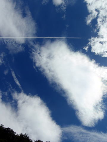 2016.6.25-26　大雲取谷（沢登り）