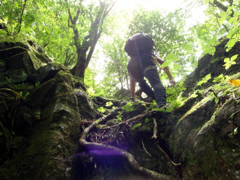 2016.6.25-26　大雲取谷（沢登り）