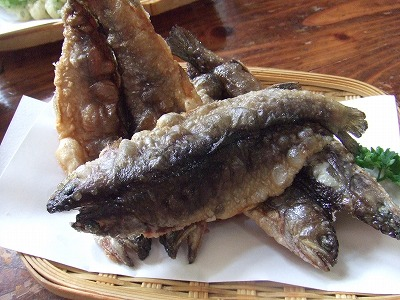 2014.8.30　会津駒ケ岳（尾根歩き）