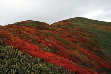 2014.9.21　平標山（尾根歩き）