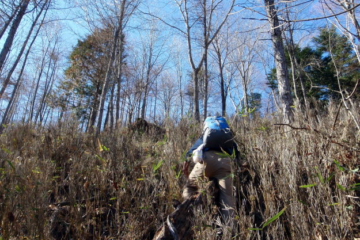 2014.11.22　西奥山窪・東御殿・西御殿（尾根歩き）