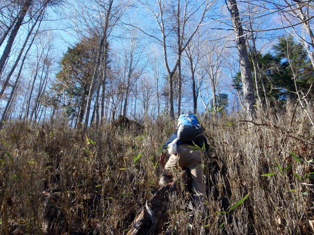 2014.11.22　西奥山窪・東御殿・西御殿（尾根歩き）