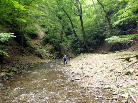 2016.6.25-26　大雲取谷（沢登り）