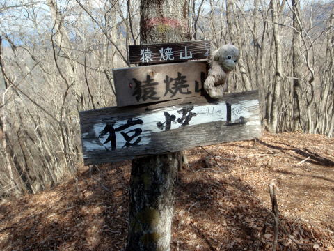 2017.2.25 道志 今倉山(尾根歩き)