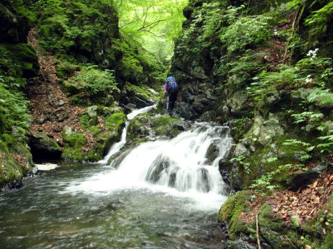 2016.6.25-26　大雲取谷（沢登り）
