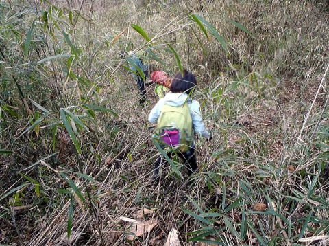 2017.2.25 道志 今倉山(尾根歩き)