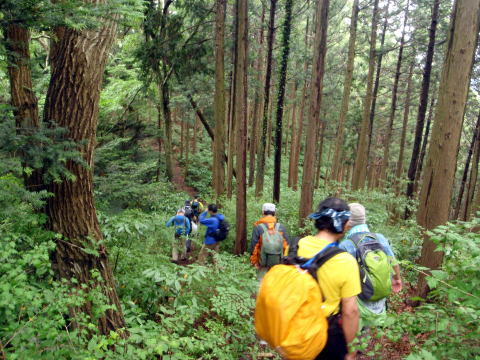 2016.6.5　労山クリーンハイク 北高尾山稜山稜（イベント）