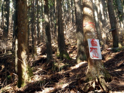 2017.3.11-12 大佐飛山(百村山~黒滝山~大長山まで)(雪山)