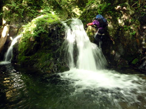 2016.6.25-26　大雲取谷（沢登り）