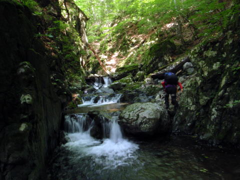 2016.6.25-26　大雲取谷（沢登り）