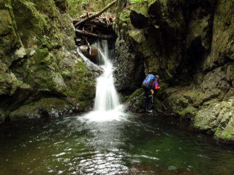2016.6.25-26　大雲取谷（沢登り）