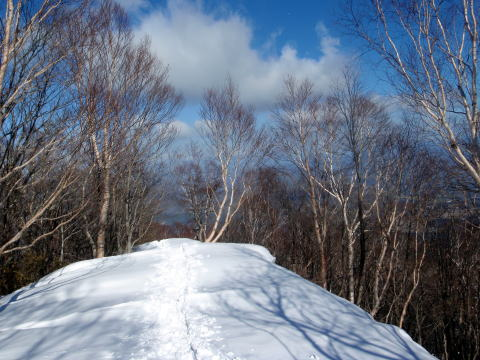 2017.3.11-12 大佐飛山(百村山~黒滝山~大長山まで)(雪山)