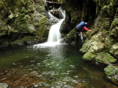 2016.6.25-26　大雲取谷（沢登り）