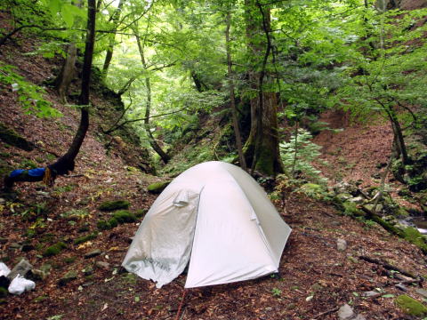 2016.6.25-26　大雲取谷（沢登り）