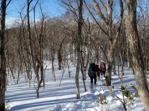 2017.3.11-12 大佐飛山(百村山~黒滝山~大長山まで)(雪山)