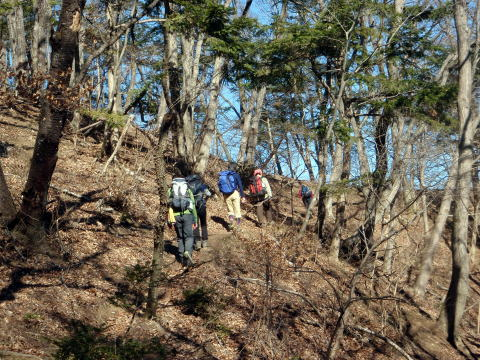 2017.2.4　高柄山（尾根歩き）