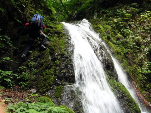 2016.6.25-26　大雲取谷（沢登り）