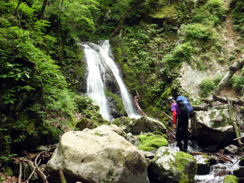 2016.6.25-26　大雲取谷（沢登り）
