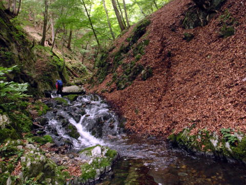 2016.6.25-26　大雲取谷（沢登り）
