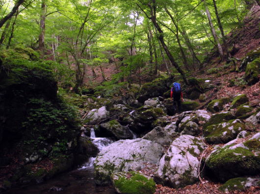 2016.6.25-26　大雲取谷（沢登り）