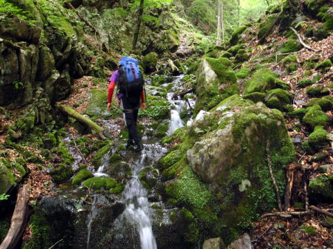 2016.6.25-26　大雲取谷（沢登り）