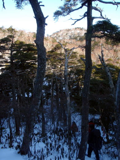 2017.3.11-12 大佐飛山(百村山~黒滝山~大長山まで)(雪山)