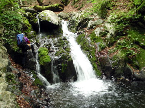 2016.6.25-26　大雲取谷（沢登り）