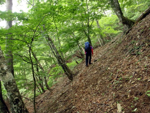 2016.6.25-26　大雲取谷（沢登り）