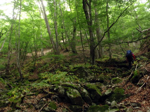 2016.6.25-26　大雲取谷（沢登り）