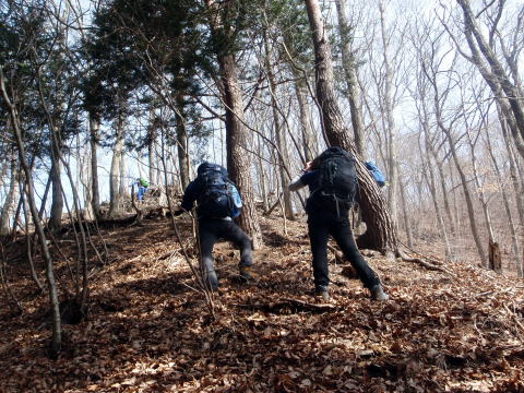 2017.3.25　滝子山（尾根歩き）