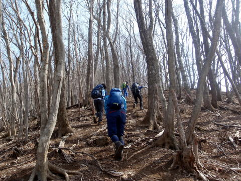 2017.3.25　滝子山（尾根歩き）