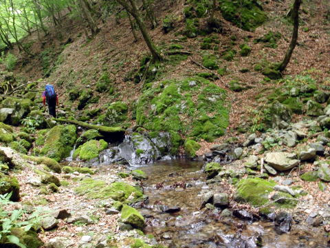 2016.6.25-26　大雲取谷（沢登り）