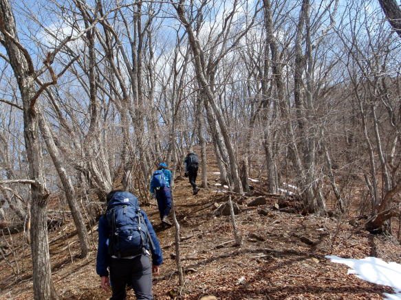 2017.3.25　滝子山（尾根歩き）