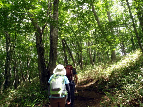 2016.7.10　大菩薩峠（尾根歩き）