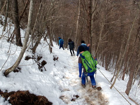2017.3.25　滝子山（尾根歩き）